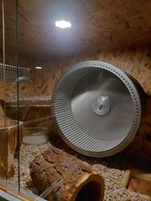 laufrad nager gebraucht kaufen laufrad nager gebraucht kaufen Schwalmtal