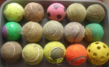 Dog tennis balls for sale  NOTTINGHAM