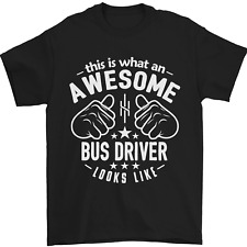 Stupenda autobus autista usato  Spedire a Italy