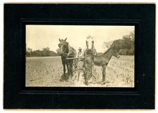Hico texas farmer for sale  Wappingers Falls