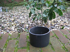 Schmiedeeisenring antikeisen e gebraucht kaufen Schmiedeeisenring antikeisen e gebraucht kaufen  Greven