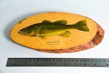 Isca de pesca antiga vintage Heddon boca grande robalo minnow placa de madeira BH23 comprar usado  Enviando para Brazil