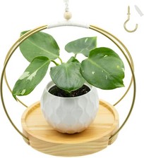 Hanging planters indoor for sale  Westfield