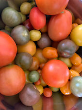 Tomaten mix set gebraucht kaufen  Viersen