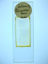 Antique microscope slide. for sale  BRISTOL