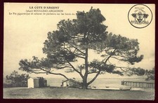Old postcard cote d'occasion  Expédié en Belgium