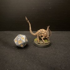 Dungeons dragons rust for sale  ASHFORD