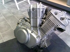 Suzuki vx800 vs51b gebraucht kaufen Suzuki vx800 vs51b gebraucht kaufen  Bad Oeynhausen