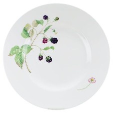 Speiseteller villeroy boch gebraucht kaufen  Kappeln