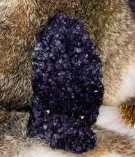 Rocks, Fossils & Minerals for sale Rocks, Fossils & Minerals for sale LIVERPOOL