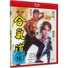 Hapkido cover banker gebraucht kaufen  Berlin