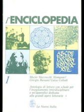 Enciclopedia scolastica usata usato  Italia