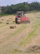 Massey ferguson 124 for sale  HOLYWELL