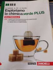 Esploriamo chimica ed.verde usato  Piossasco