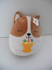 Squishmallow regina corgi for sale  WHITSTABLE