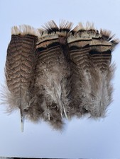 Turkey quills. unused. for sale  CRAWLEY