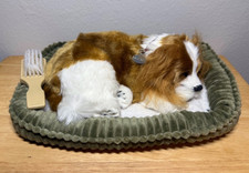 Perfect petzzz dog for sale  Baton Rouge