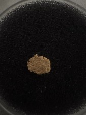 Raw gold nugget for sale  GRIMSBY