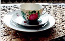 August warnecke porzellan gebraucht kaufen  Geesthacht