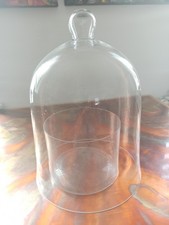glashaube gebraucht kaufen  Deutschland