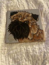 Brussels griffon dog for sale  Sun City