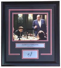 James gandolfini framed for sale  Swedesboro