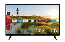Telefunken fernseher smart gebraucht kaufen  Birkenfeld