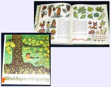 Ddr kinderbuch waldspaziergang gebraucht kaufen  Löbau