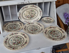1940s myott staffordshire for sale  Rome