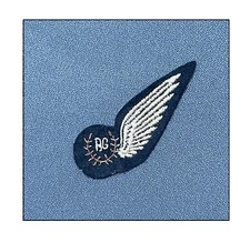 Ww2 brevet raf d'occasion  Graignes-Mesnil-Angot