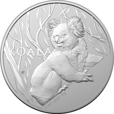 Australia koala ram usato  Poviglio