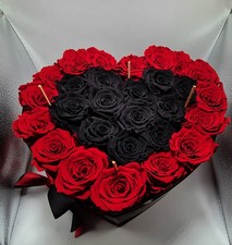 Rosen amour roses gebraucht kaufen  St Wendel