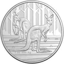 Australia 2024 kangaroo usato  Poviglio