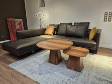 Walter knoll sofa gebraucht kaufen  Rheda-Wiedenbrück