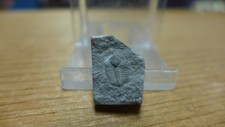 Geological enterprises ordovic for sale  Ardmore