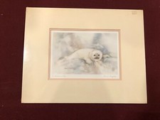 Matted print brent for sale  Bristol