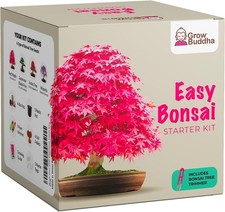Grow bonsai kit for sale  MANCHESTER