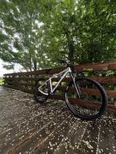 Bicicletta mountain bike usato  Torino