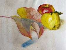 Aquarell stillleben bst gebraucht kaufen  Schwabmünchen
