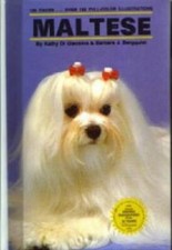 Maltese free for sale  Euclid