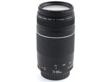Canon 300 5 usato  Peccioli