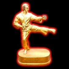 Karate master martial for sale  Joplin