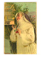 Uccellino cartolina illustr. usato  Venezia