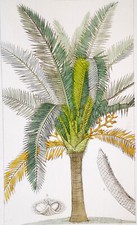 1831 turpin originale usato  Urbino