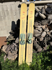 Ancien ski nautique d'occasion  Fontvieille