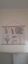 Antique school posters d'occasion  Expédié en Belgium