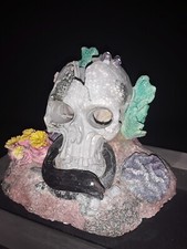 Human skull brain d'occasion  Expédié en Belgium