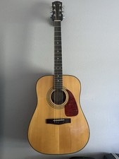 Fender dg21s nat for sale  Ocoee