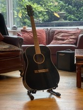 12 string washburn for sale  HEXHAM