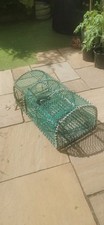 Large professional lobster for sale  MANCHESTER